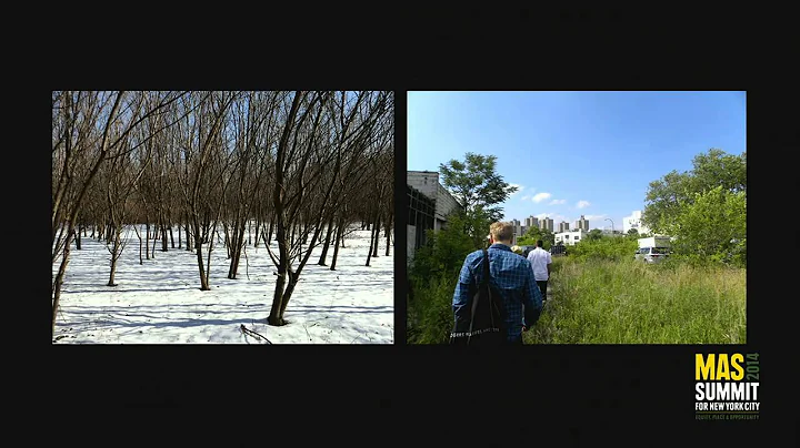Recording the Urban Palimpsest: Poetics and Ecolog...