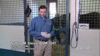 Patient Classification System: Hagyard Equine Medical Institute