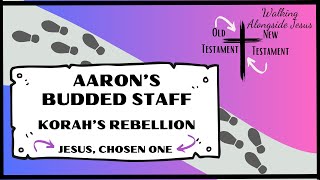 Korah’s Rebellion | Aaron’s Budded Staff | Bible Curriculum | Moses in Numbers