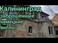 Заброшенные немецкие дома в Калининграде ! Ул. Тельмана#заброшки#кёнигсберг#калининград#немецкиедома