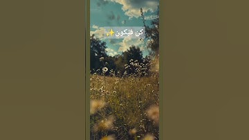 القرآن الكريم/ تلاوة خاشعة/ ترتيل #المصحف #القرآن_الكريم #quran #راحة_نفسية