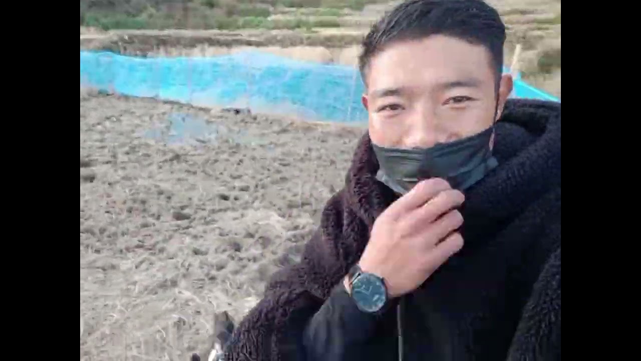 VILLAGE LIFE IN ROKOLA