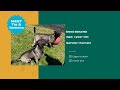 Pet Of The Week Tia Tamera Pet Of The Week Tia Tamera