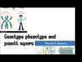 Genotype Phenotype punett square
