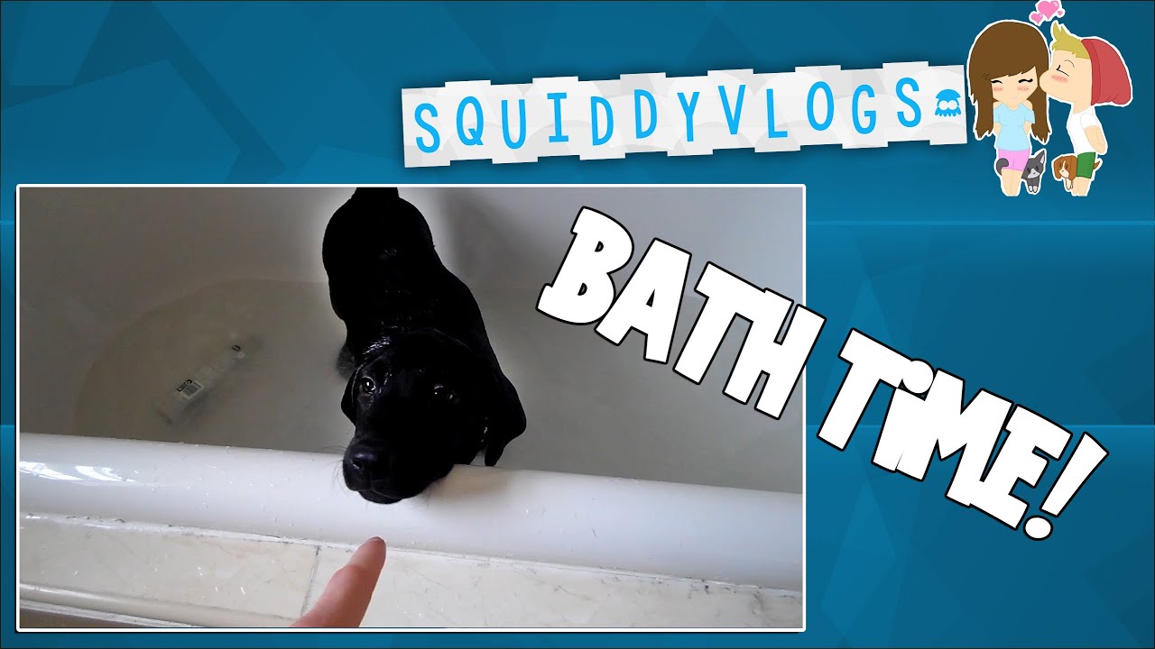 SquiddyVlogs - Marley's Bath/MOVEMBER! [7]