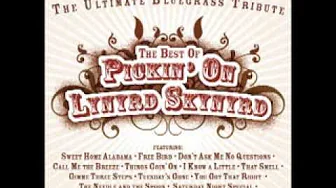 What's Your Name - Best of Pickin' on Lynyrd Skynyrd: The Ultimate Bluegrass Tribute What's Your Name - Best of Pickin' on Lynyrd Skynyrd: The Ultimate Bluegrass Tribute