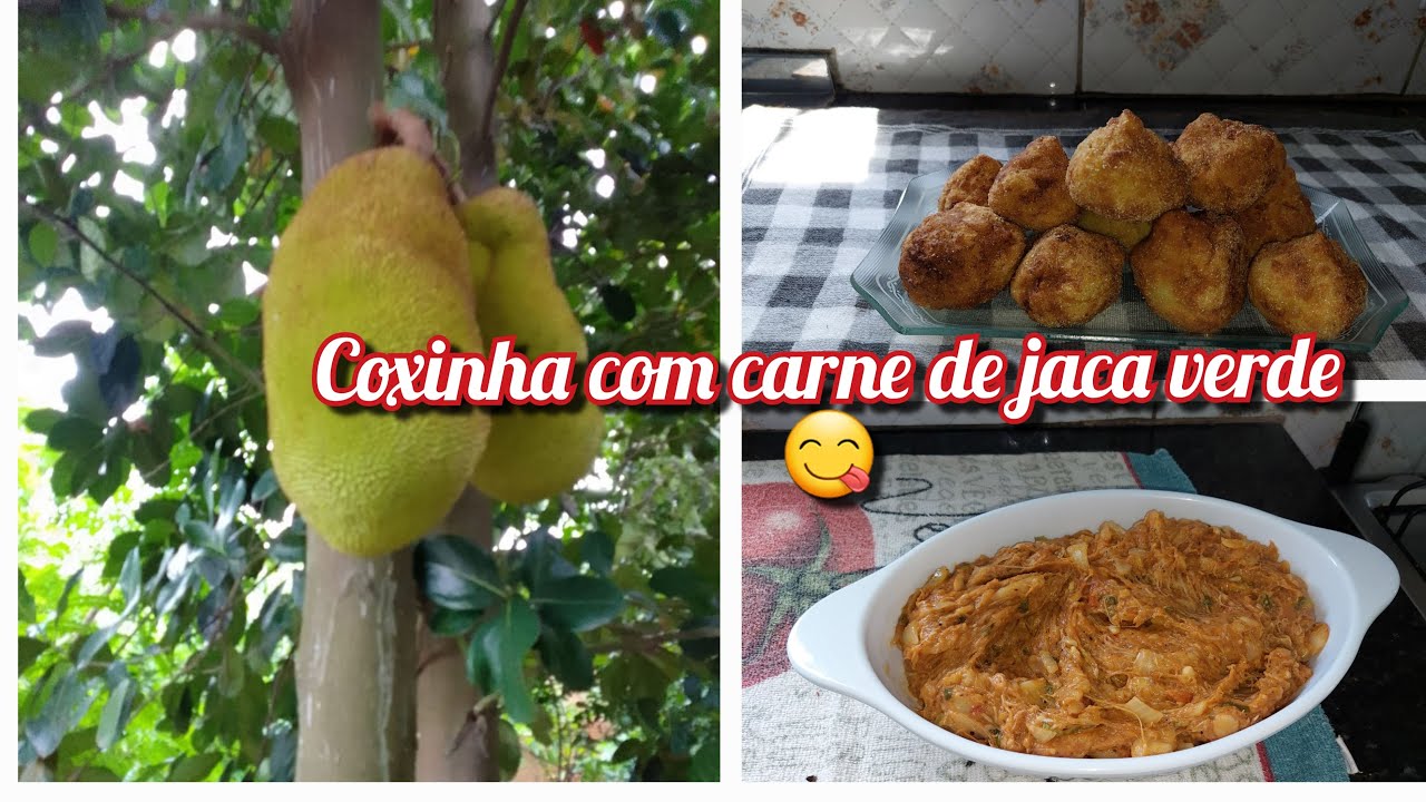 FAZER COXINHA COM RECHEIO DE CARNE DE JACA VERDE/FICA MARAVILHOSO