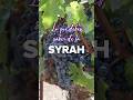 Hablemos de la Syrah #atowine #winelover #winetime