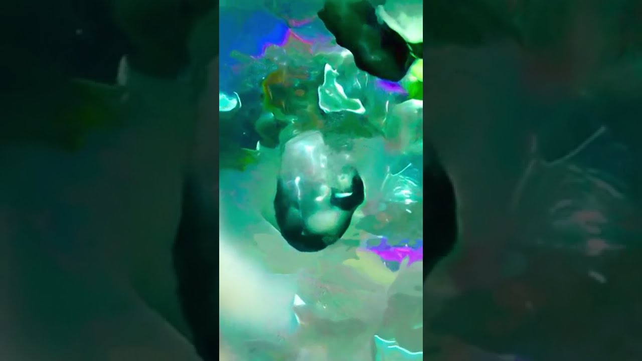 Rainbow Island - Hidden Birubu (video by NOT399093)