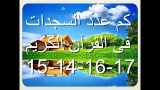 كم عدد السجدات فى القرآن الكريم