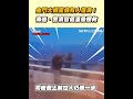 金門大橋意外