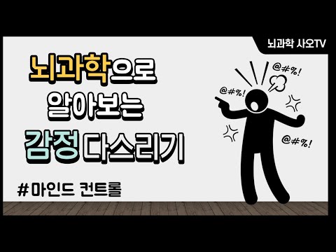 감정을 다스리는 방법│뇌과학, 마인드컨트롤, 편도체