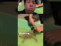 “Try Not to Laugh Challenge Compilation - Hilarious Moments You Can’t Miss!”🤩 #shortsfeed