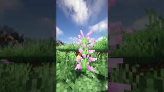 Minecraft Continuum Shader + Voxy is amazing! Net Worth