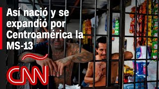 Así Fue Como Nació La Ms-13 En Ee.uu. Y Expandió Su Terror Por Centroamérica