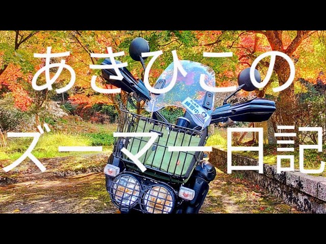 あきひこのズーマー日記。ズーマー ズーマーカスタム ズーマー 