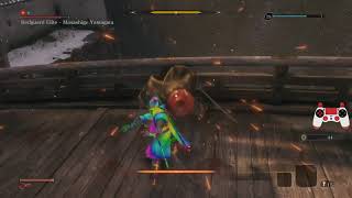 Sekiro: Resurrection Red Guard Elite Sword Only/No Skills Charmless+Bell no hits