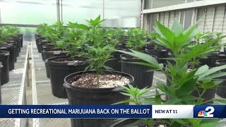 Recreational marijuana could return to Florida ballot in 2026: What you need to know