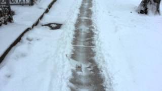 DIY Campaign Sign Sidewalk Snow Plow