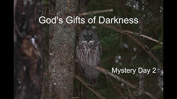 Daily Devotion, Advent Day 2, December 1, 2020