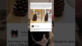 🌳 Pinecone that changes shape with the weather