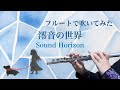 【Sound Horizon】『澪音の世界』- Rein no Sekai - をフルートで演奏してみた【Flute Cover】