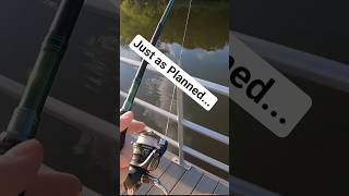Calculated #fishing