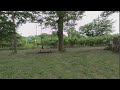 Vuze XR 撮影テスト（VR180、4K30P、公園、距離6.5m）