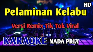 PELAMINAN KELABU - KARAOKE Mansyur S Versi Tik Tok 