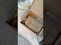 LV Escape Bag Unboxing❤️Looply New Drop #unboxing #lvbag #luxurybags #preloved #shopping