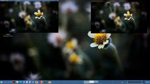 Linux Mint Debian Edition: Research In Action