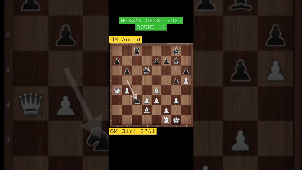 Chess walk. Chess walk