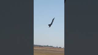 F22 RAPTOR TAKES OFF IMMEDIATELY GOES VERTICAL LIKE A NASA LAUNCH AT THE CAPITOL AIRSHOW 2022