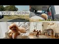 思い出の畑に行ってみた！14年前を思い出す…🐶🌈