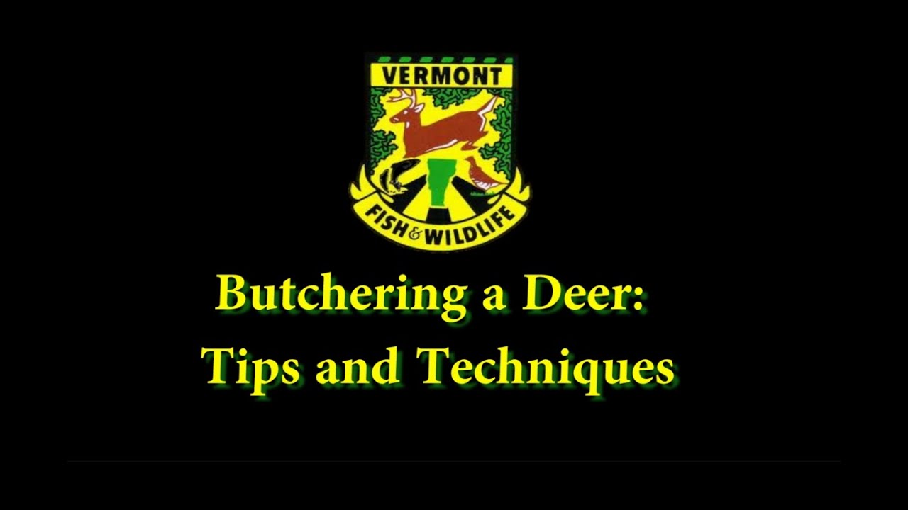 hunter email Butchering a Deer: Tips and Techniques