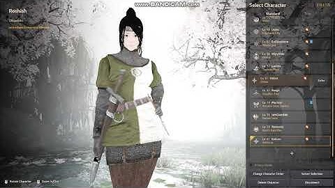 Bdo Crash at specific character Only.