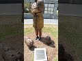 uga vet hospital in athens ga. the memorial park.