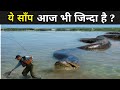 ये साँप आज भी जिन्दा मोदी भी हैरान है | Biggest Snake Ever Caught | fact mantra