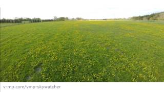 Dreamy Dandelions sky aerial view -  VMP Skywatcher Episode 7