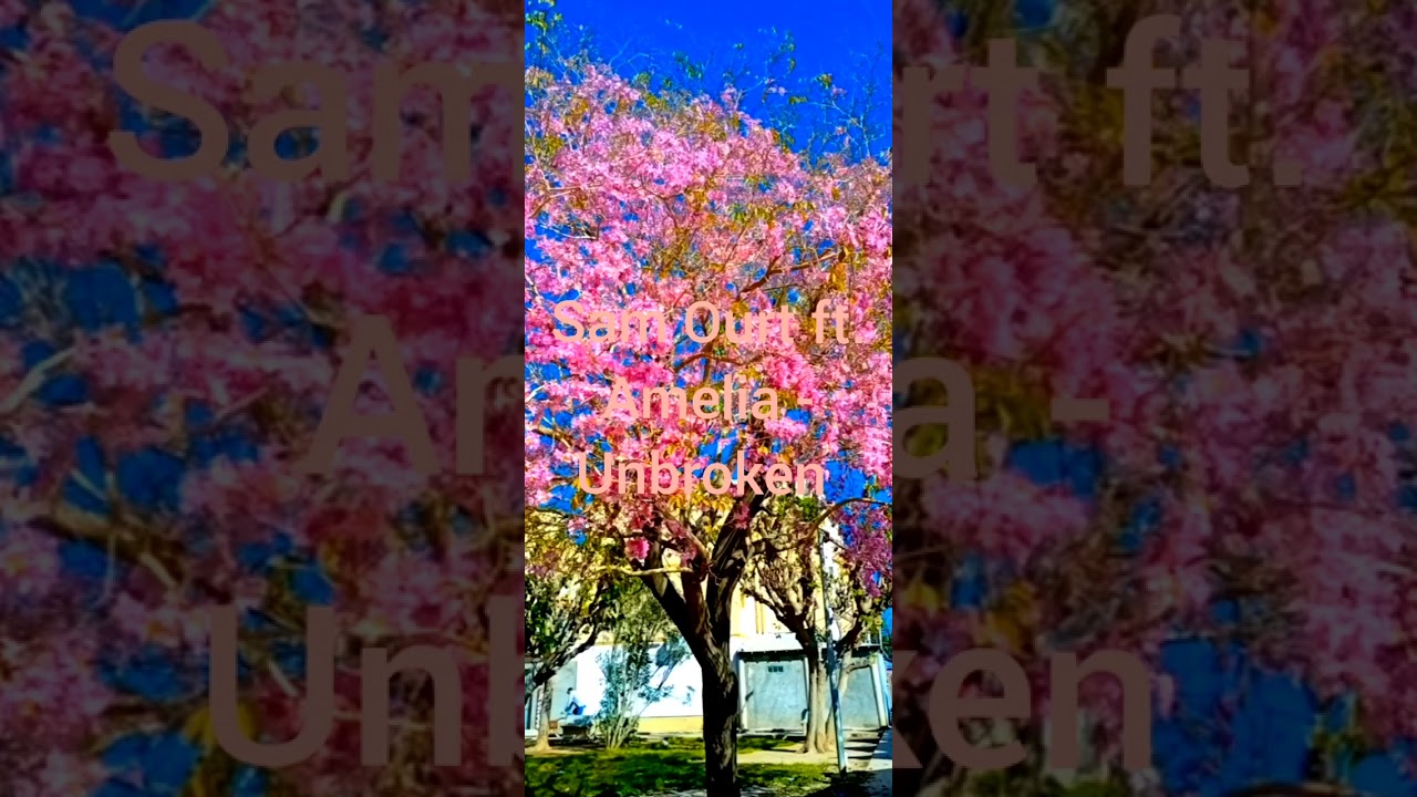 Sam Ourt ft. Amelia - Unbroken [INSTRUMEMTAL MIX] (Extended Version)