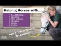 Helping horses with head shaking spooking auto immune  allergies cranial sacral  april love