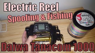 Electric Reel Spooling & Fishing (Daiwa Tanacom 1000)