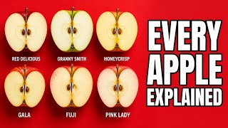 Every Apple Explained#EveryFoodExplained #EveryAppleExplained  #AppleGuide 