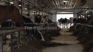 As raw milk push grows, farmers show the pasteurization process