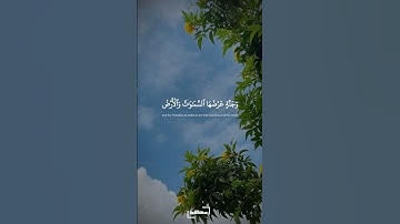 وسارعوا إلى مغفرة من ربكم | سورة آل عمران | المنشاوي #quran