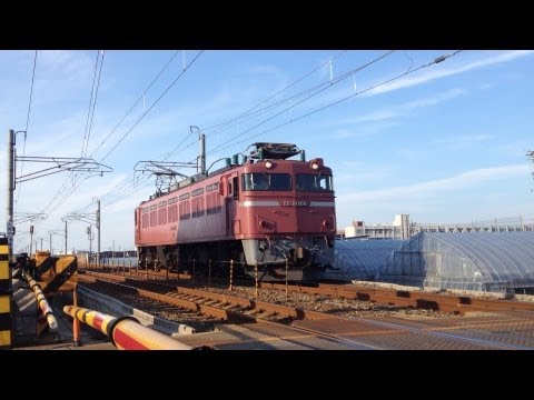 EF81 106単機回送 (工臨の返し)
