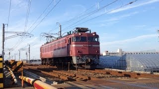 EF81 106単機回送 (工臨の返し)