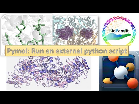 Come eseguire uno script Python in PyMOL
