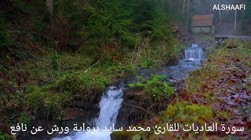 محمد سايد - سورة العاديات |100| MOHAMED SAYED - SURAT AL ADIYAT