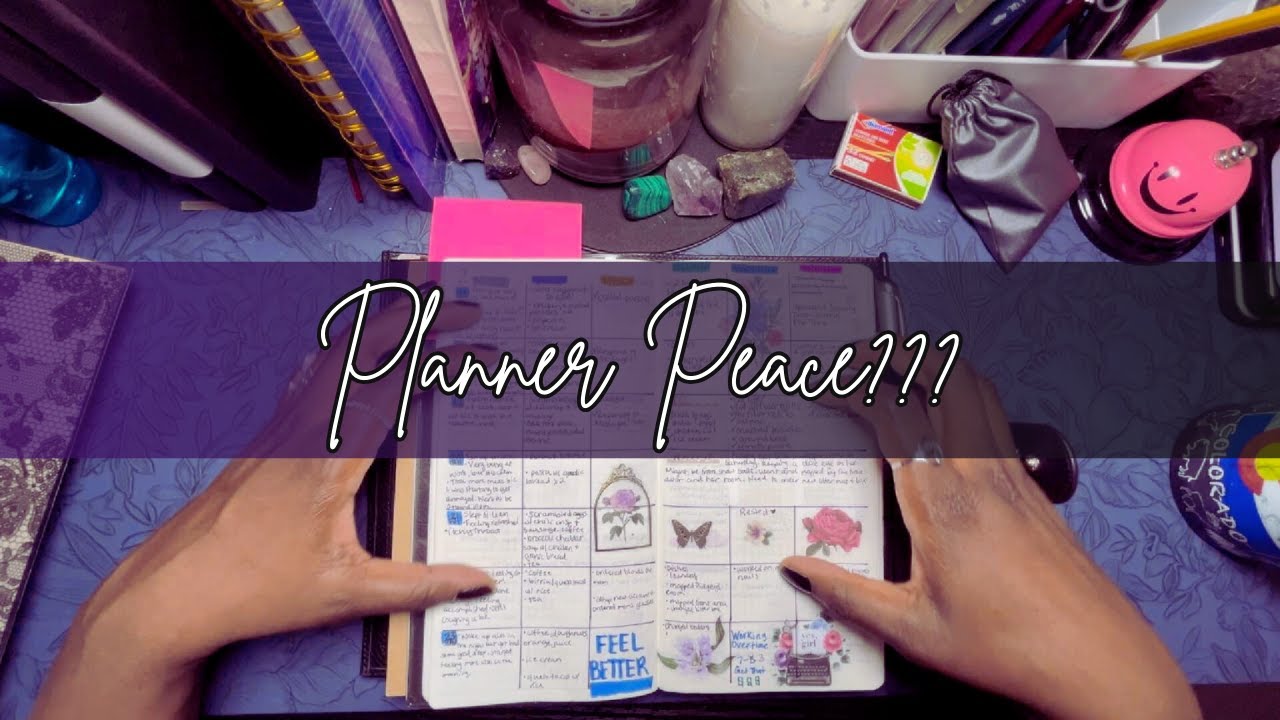 January & February Planner Flip Through - Sterling Ink N1 Planners